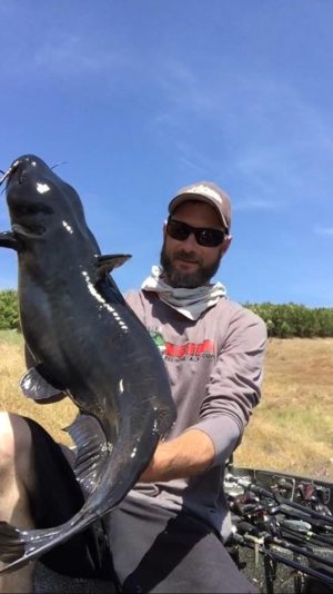 Catfish caught on New Melones lake