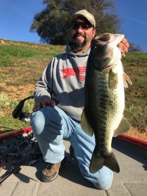 Healthy Mother Lode Bass