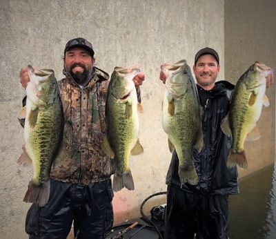 Four giant bass on New Melones Reservoir. Go big or go home can be a great way to catch some huge fish.