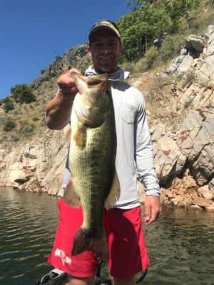 Another big bass caught fishing on New Melones with top notch guides