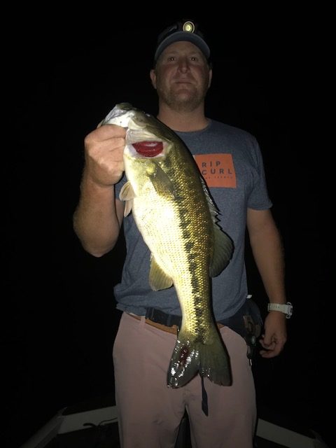 Night fishing New Melones guide service