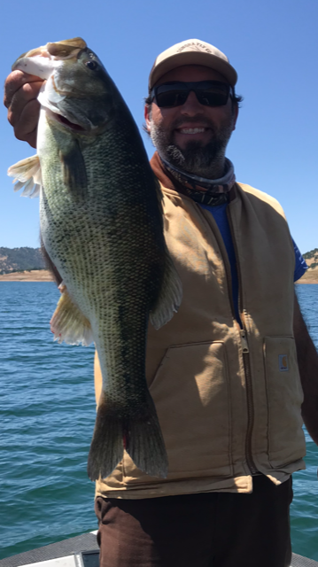 Mother Lode Giant Spotted Bass