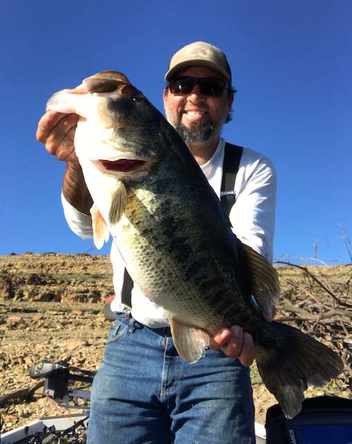 New Melones bass guides catch double-digit fish on swimbaits