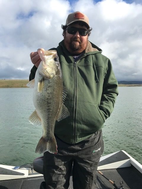 Another big bite on the big bait